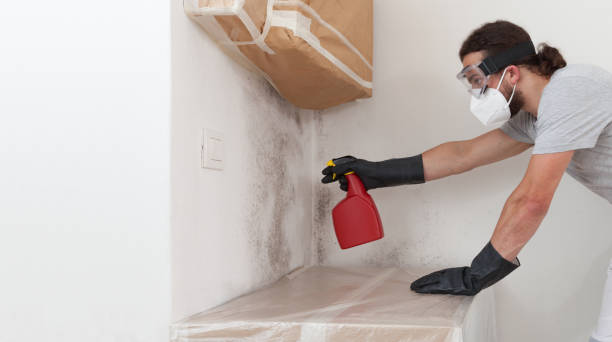Professional Crawl Space Mold Remediation technician working in Butler, NJ