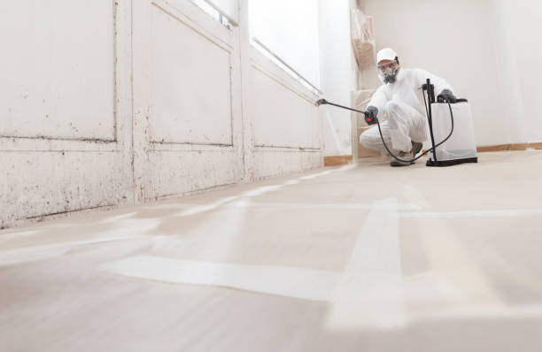 24/7 Emergency Crawl Space Mold Remediation experts in Butler, NJ