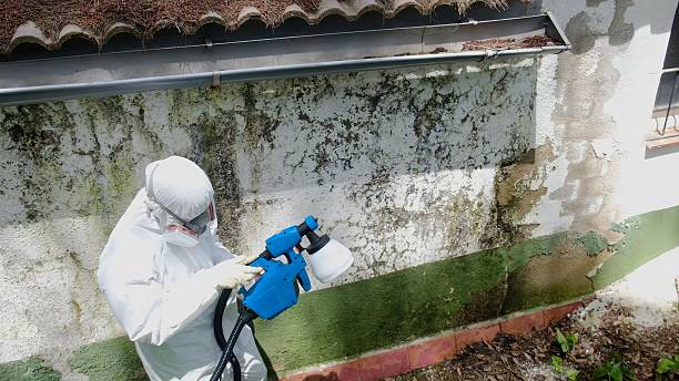 Top rated local Crawl Space Mold Remediation specialists in Butler, NJ